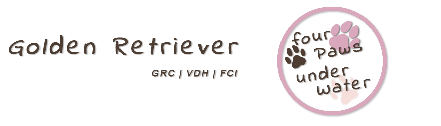 header four-paws-under-water.de